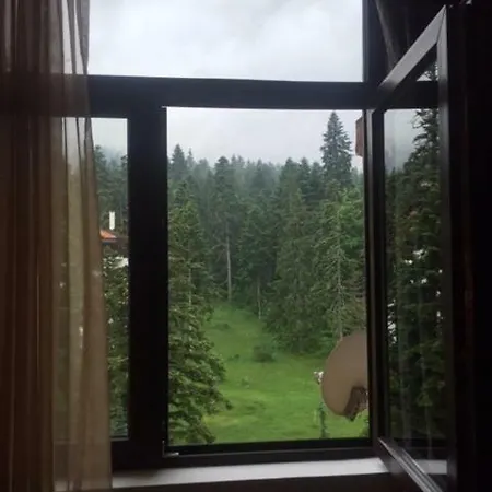 Viva Flora 607a Apartamento Borovets