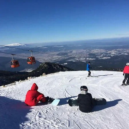 Viva Flora 607a * Borovets