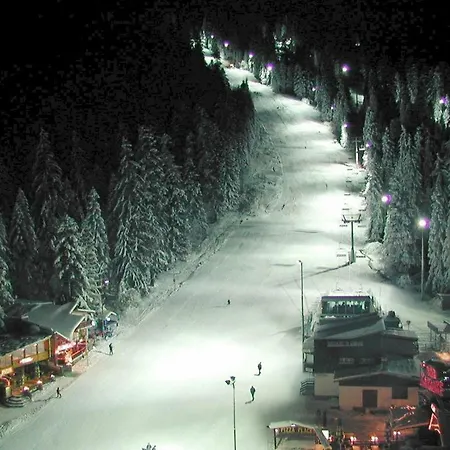 Apartamento Viva Flora 607a