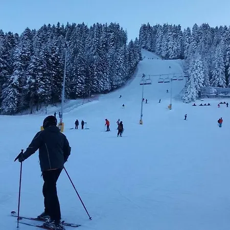 Viva Flora 607a * Borovets