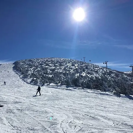 Viva Flora 607a شقة *