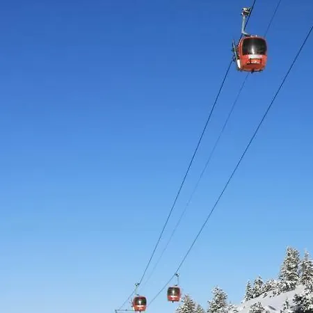 Viva Flora 607a Borovets