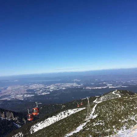 Viva Flora 607a Apartamento *