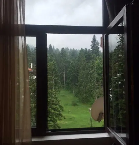 Viva Flora 607a Appartamento Borovets