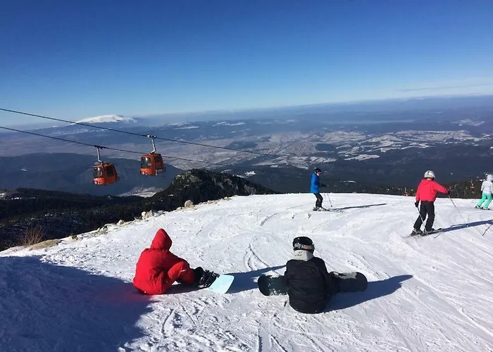 Viva Flora 607a * Borovets