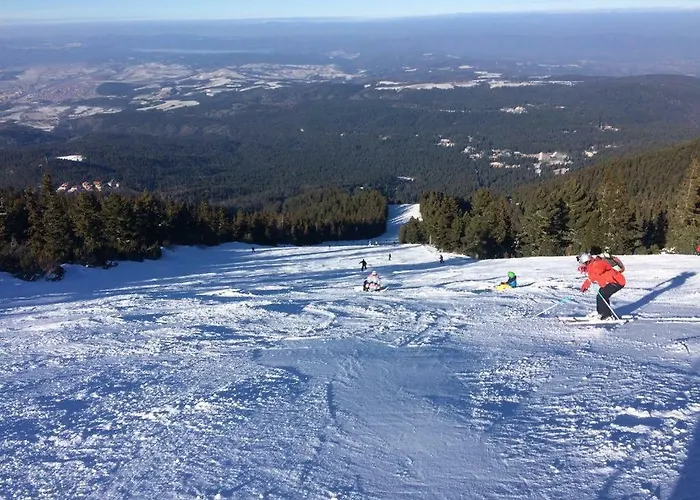 Viva Flora 607a Borovets