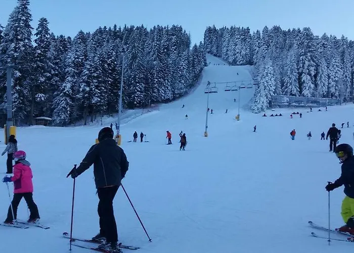 Viva Flora 607a * Borovets