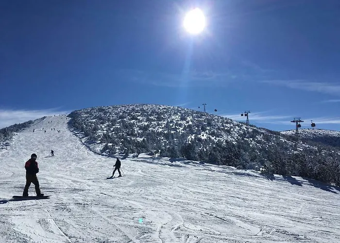 Viva Flora 607a Appartamento *