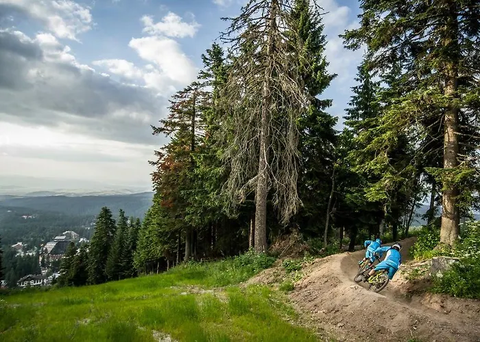 Viva Flora 607a Borovets