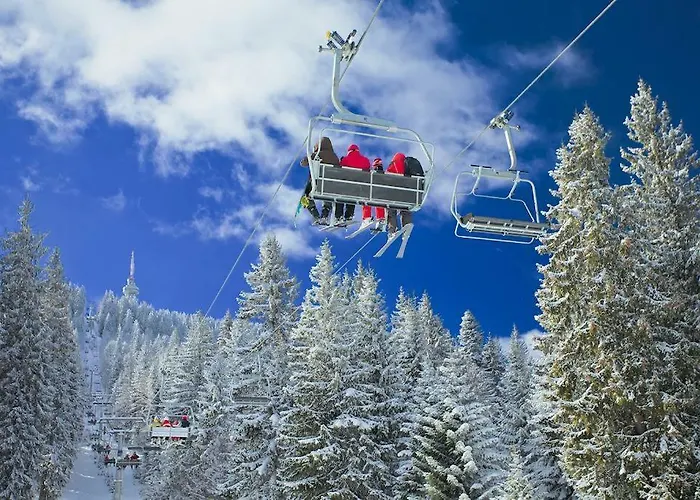 Viva Flora 607a Appartamento Borovets